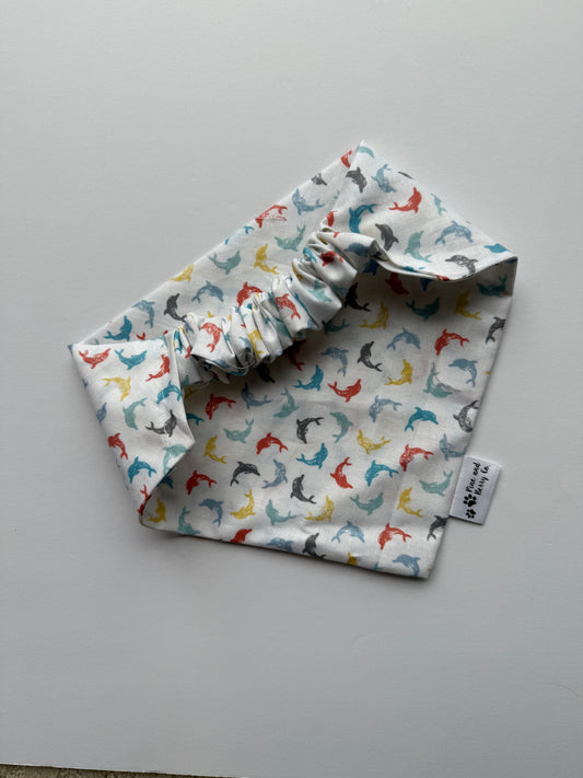 Summer Dolphins
