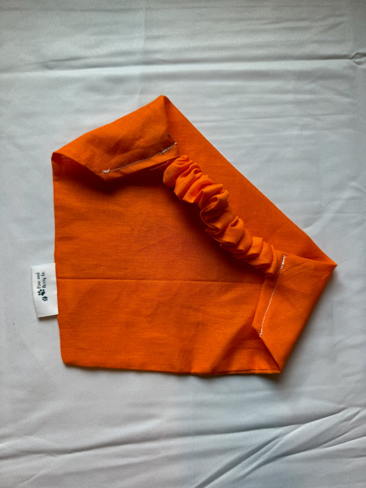 Bright Orange
